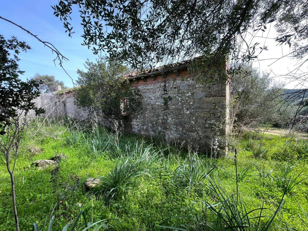Terreno a Luogosanto in Strada Provinciale per Luogosanto - Foto 5