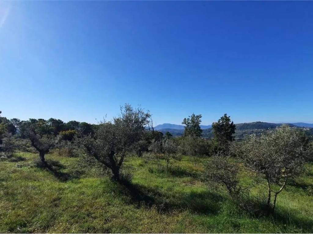 Terreno a Monte san giovanni campano - Foto 2