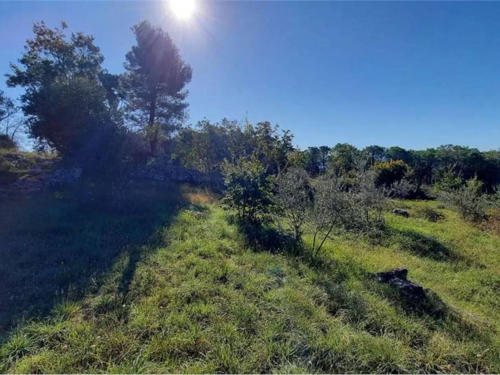 Terreno a Monte san giovanni campano - Foto 3