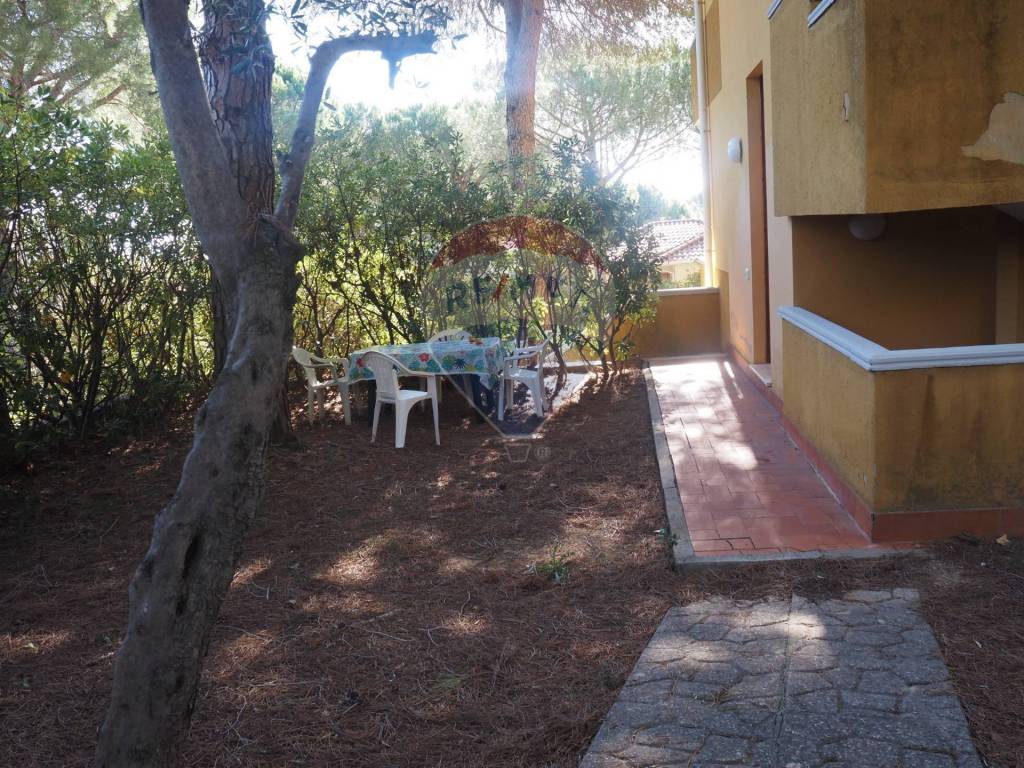 Appartamento a Rosignano marittimo - Foto 2