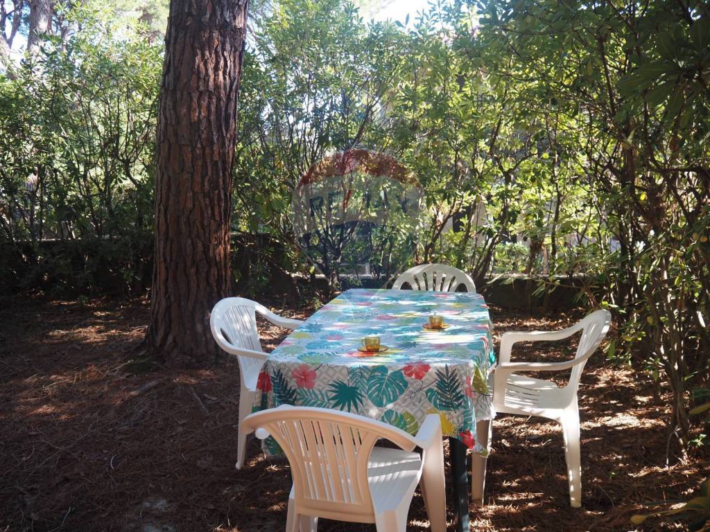 Appartamento a Rosignano marittimo - Foto 3