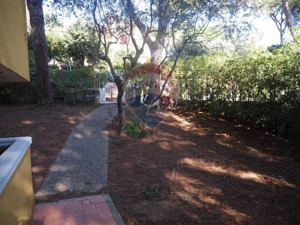 Appartamento a Rosignano marittimo - Foto 5