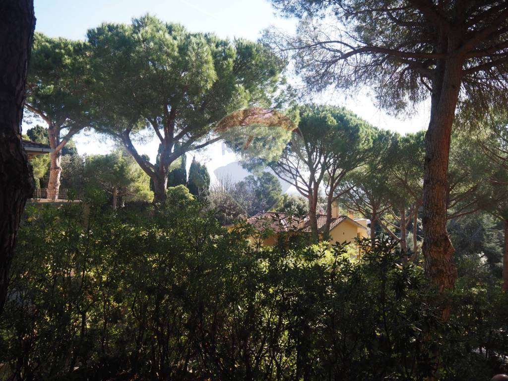 Appartamento a Rosignano marittimo - Foto 5