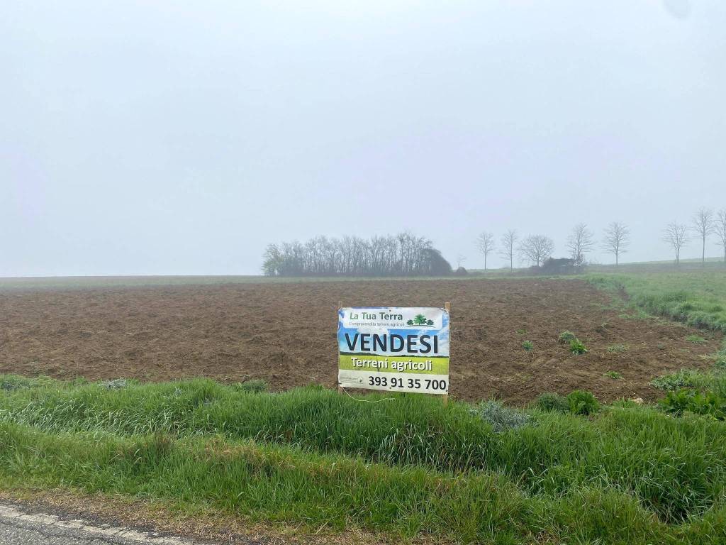 Terreno a Casorzo in SP30 - Foto 3