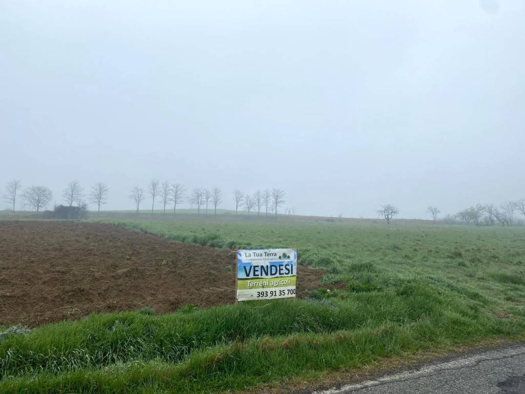 Terreno a Casorzo in SP30 - Foto 5