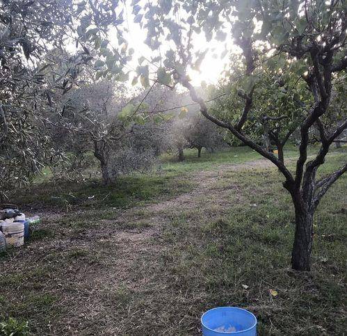 Terreno a Milazzo in Via Trinita - Foto 2