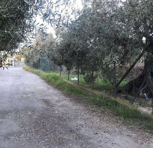 Terreno a Milazzo in Via Trinita - Foto 3