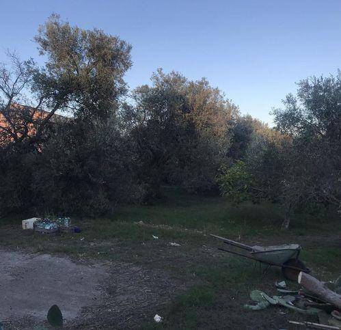 Terreno a Milazzo in Via Trinita - Foto 4