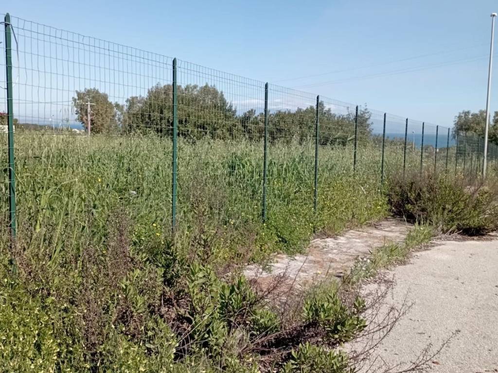 Terreno a Augusta - Foto 4