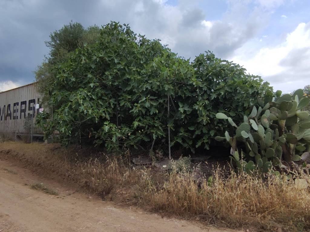 Terreno a Quartucciu - Foto 5