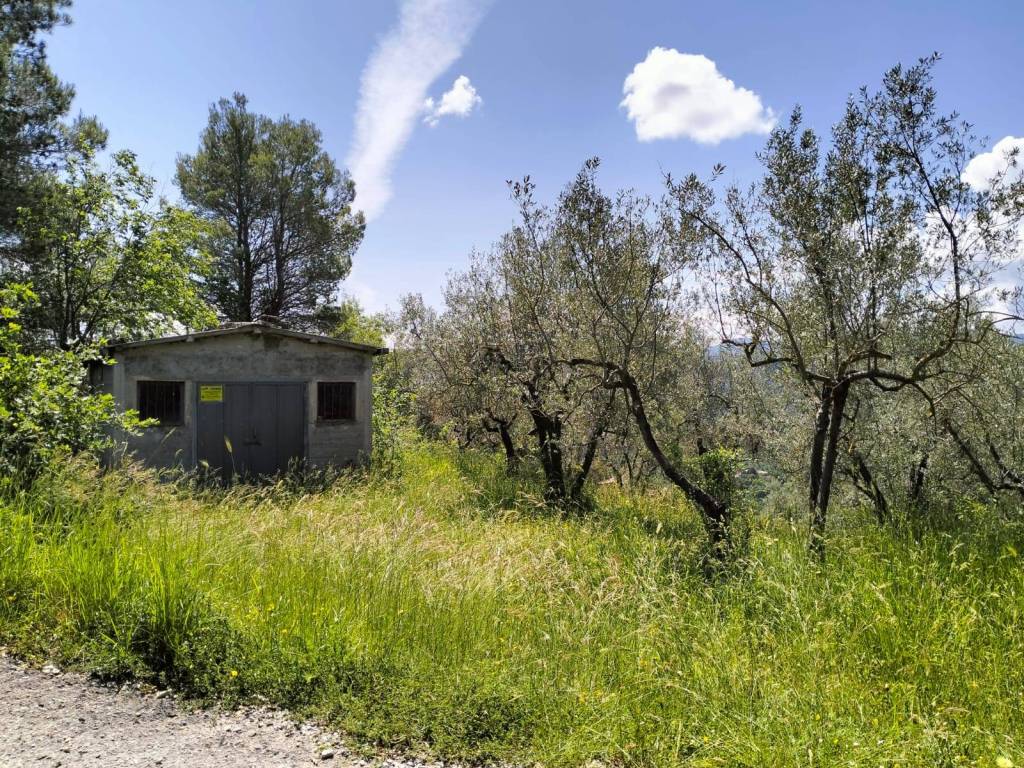 Terreno a Terni in Via Colle Palone - Foto 2