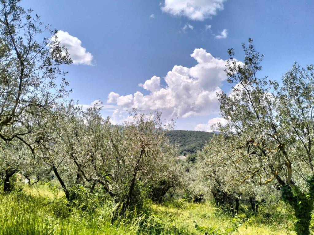 Terreno a Terni in Via Colle Palone - Foto 4