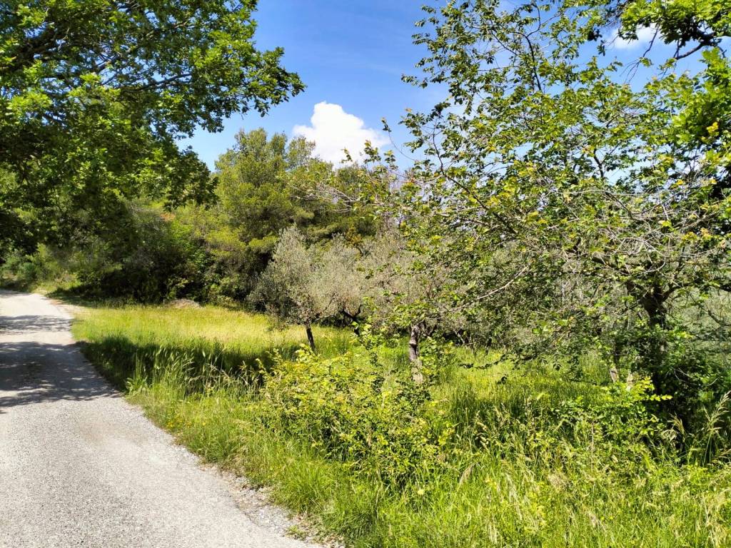 Terreno a Terni in Via Colle Palone - Foto 5