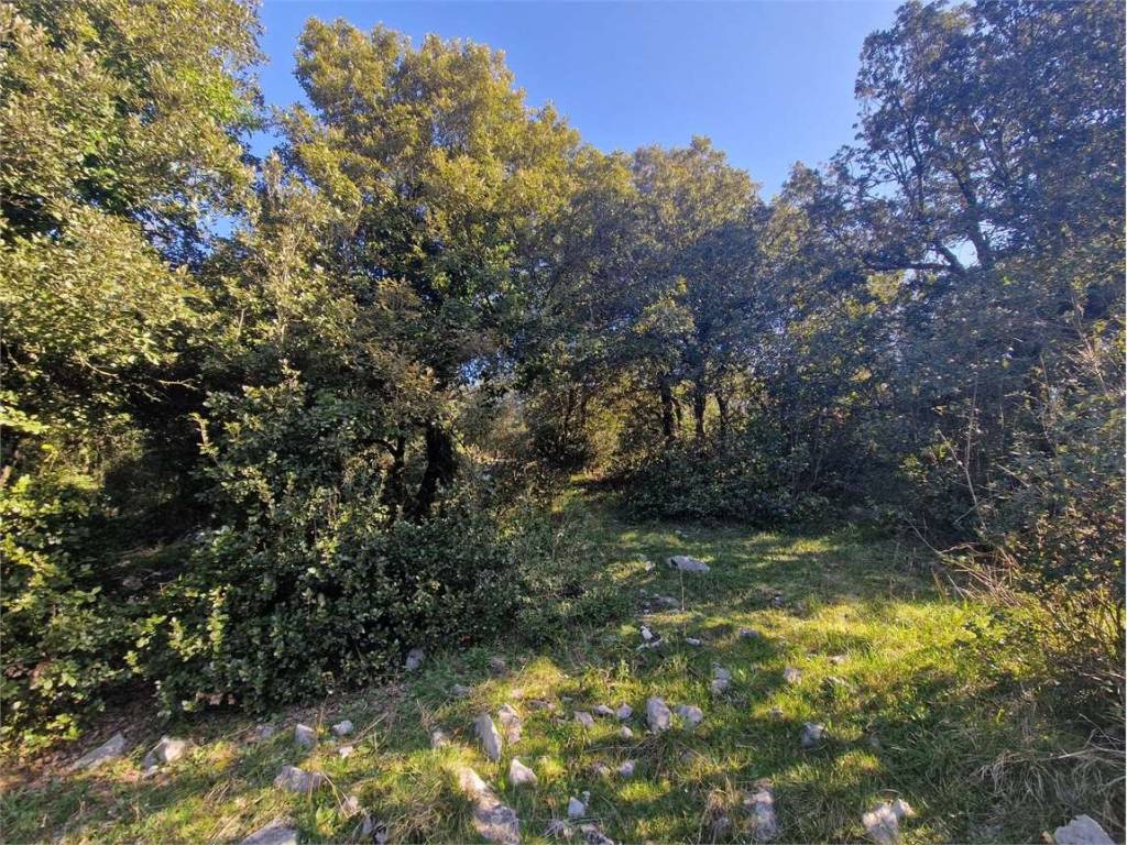 Terreno a Amaseno in Località San Benedetto - Foto 3