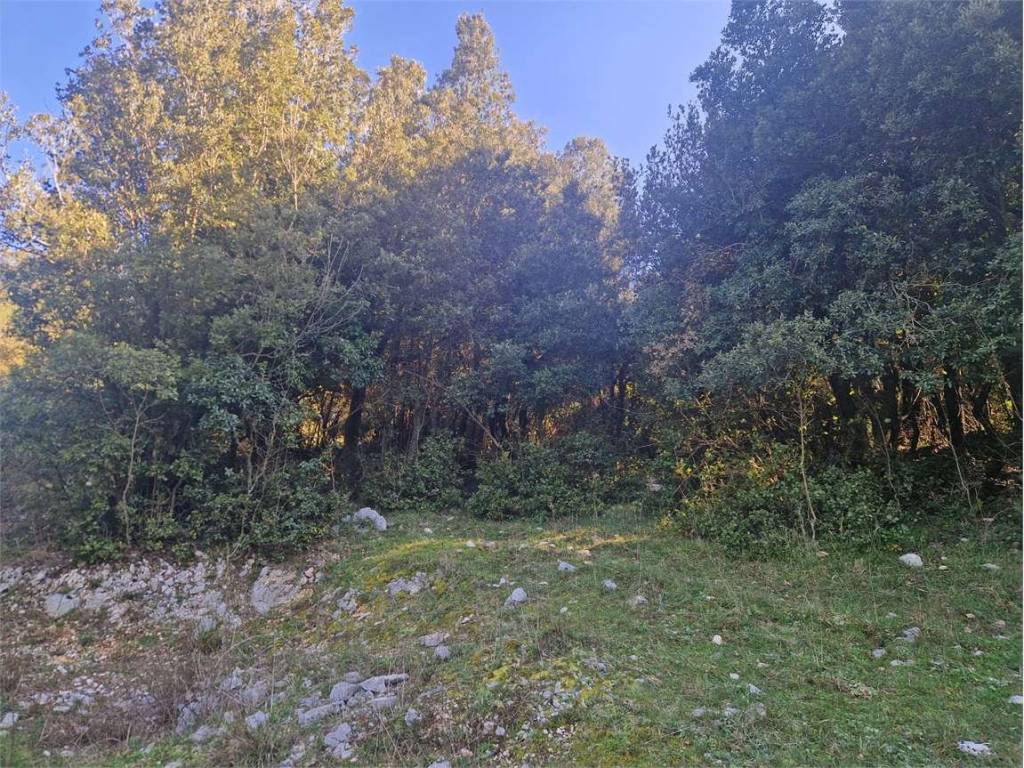 Terreno a Amaseno in Località San Benedetto - Foto 5