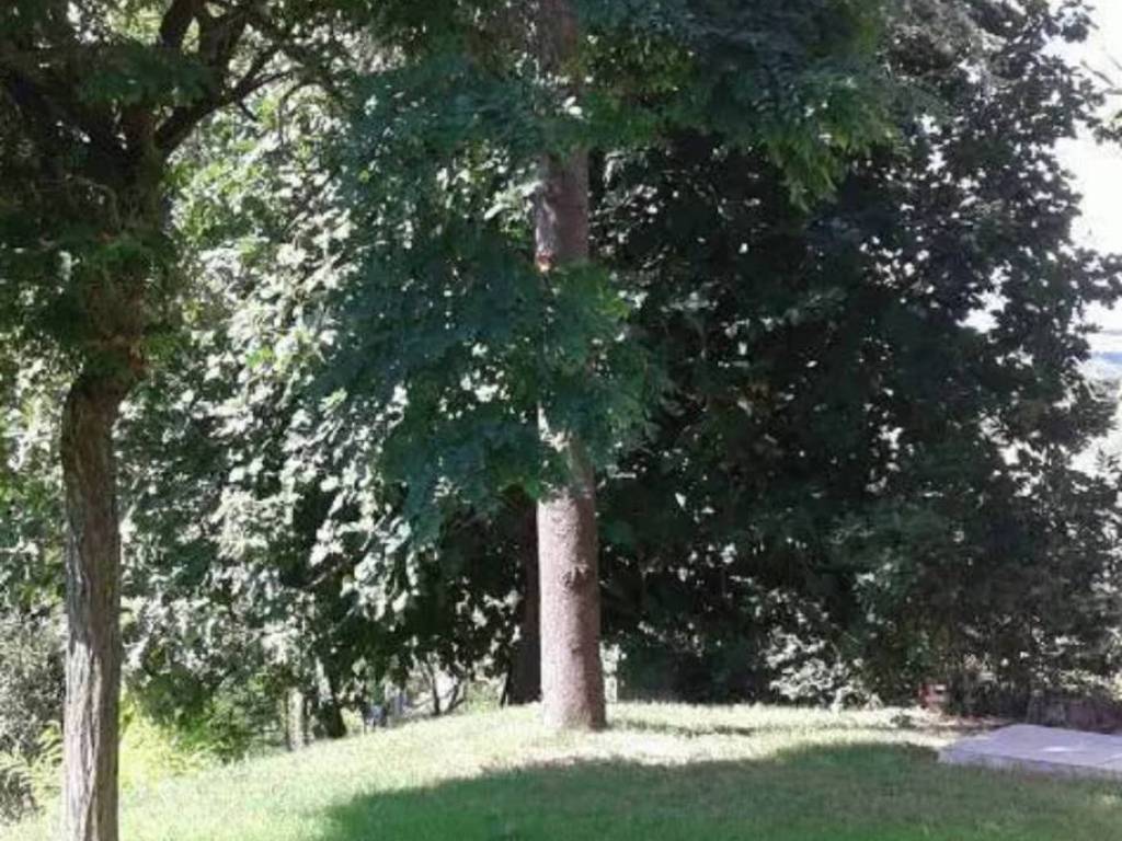 Appartamento a Montefelcino in Via Borgo - Foto 2