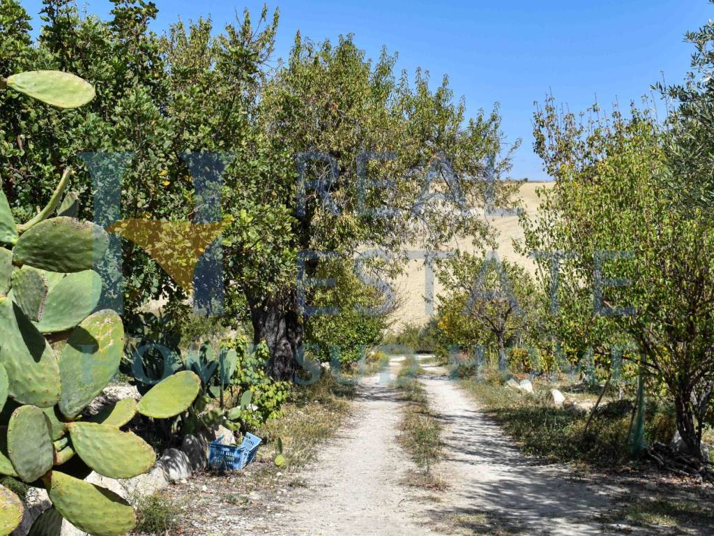 Rustico / casale a Ragusa in Corso Italia - Foto 2