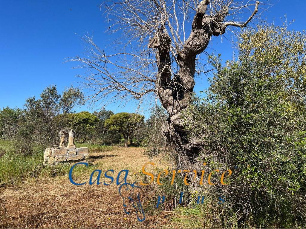 Terreno a Gallipoli in SP52 - Foto 3