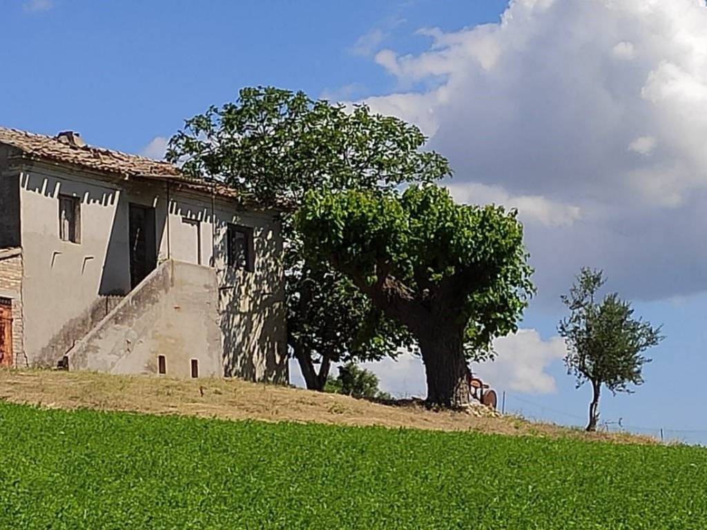 Rustico / casale a Recanati - Foto 2