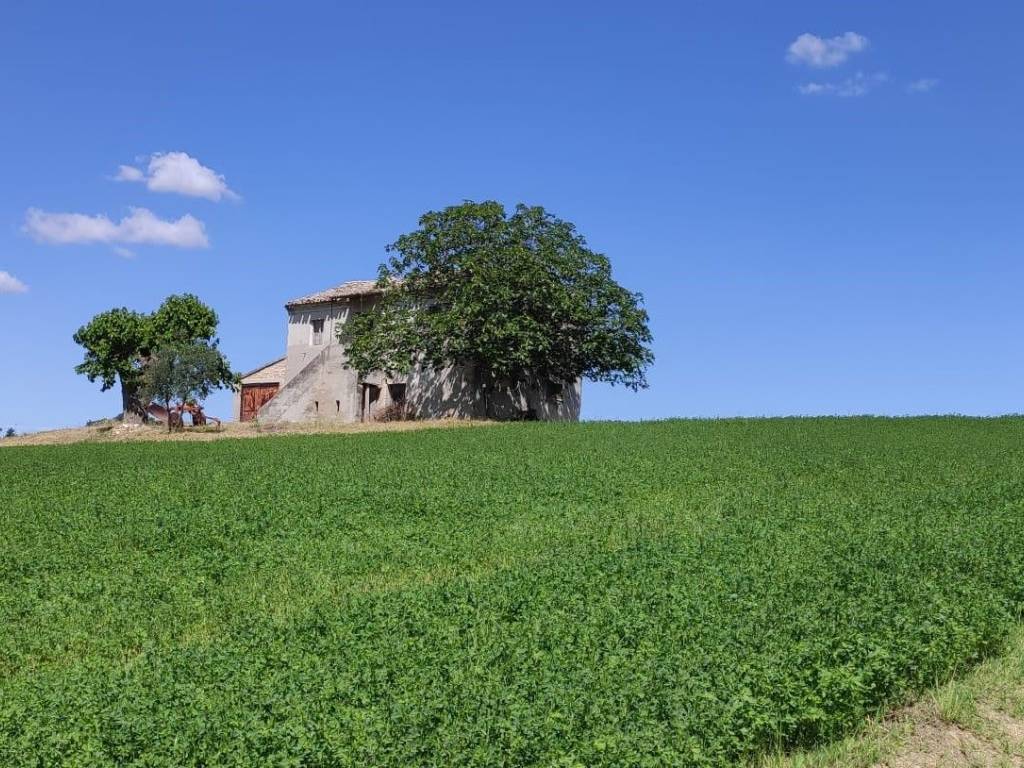 Rustico / casale a Recanati - Foto 3