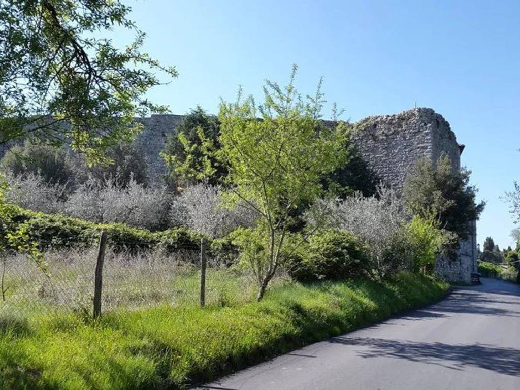 Rustico / casale a San venanzo - Foto 5