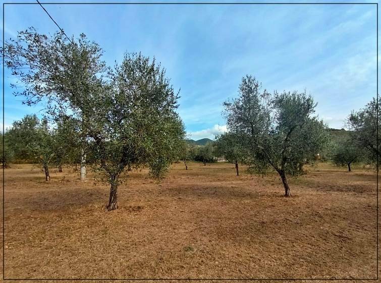 Rustico / casale a Castagneto carducci in Località Cerreta - Foto 2