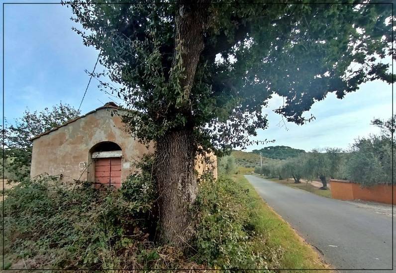 Rustico / casale a Castagneto carducci in Località Cerreta - Foto 3