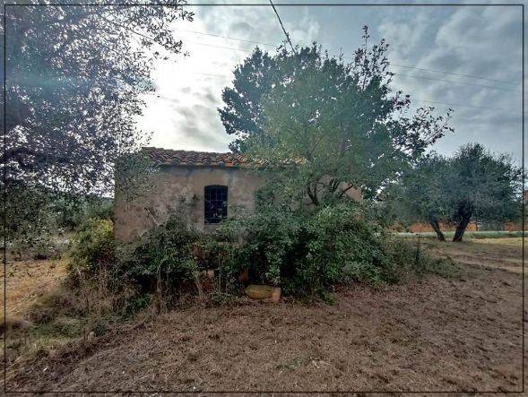 Rustico / casale a Castagneto carducci in Località Cerreta - Foto 4