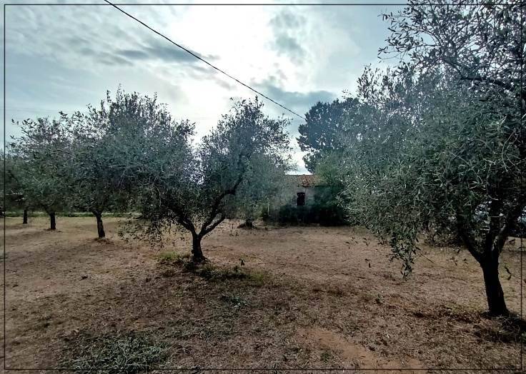 Rustico / casale a Castagneto carducci in Località Cerreta - Foto 5