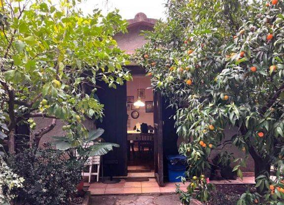 Rustico / casale a Castagneto carducci in Località il Crocino - Foto 2