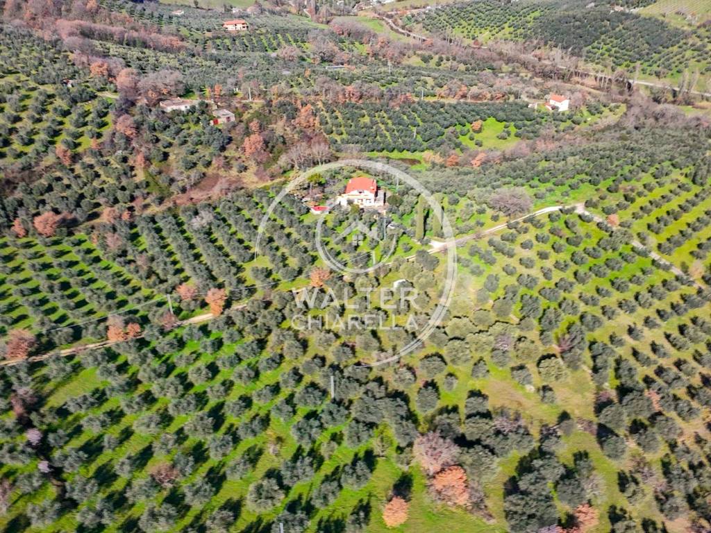 Villa a Toffia in Vocabolo Cesa - Foto 5