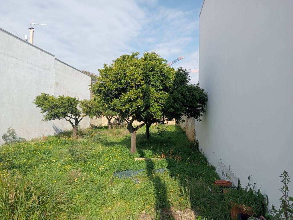 Terreno a Parabita in Via Tagliamento - Foto 3