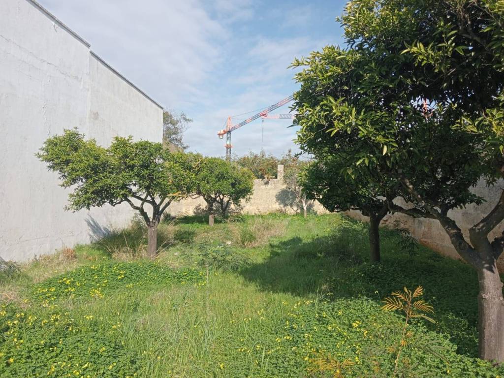 Terreno a Parabita in Via Tagliamento - Foto 5