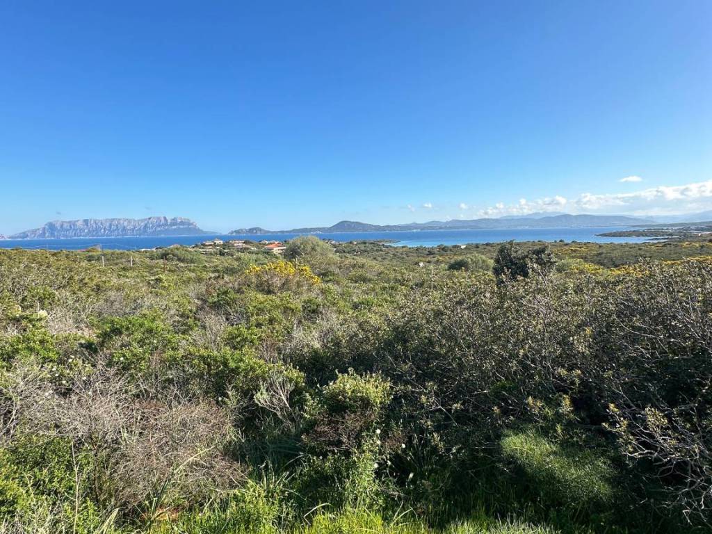 Terreno a Golfo aranci in Via Molara - Foto 5