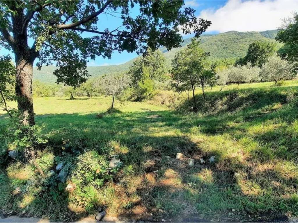 Terreno a Veroli - Foto 3