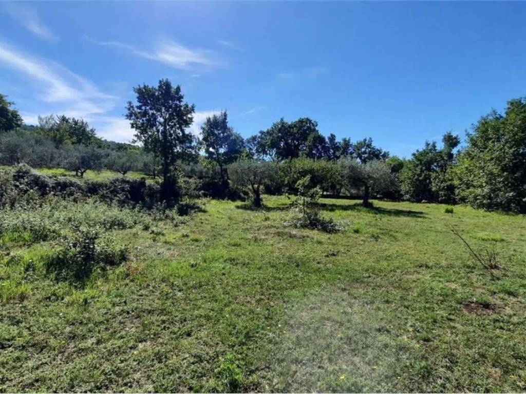 Terreno a Veroli - Foto 4