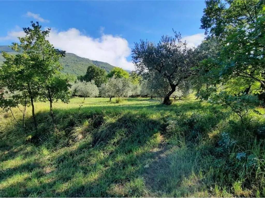 Terreno a Veroli - Foto 5