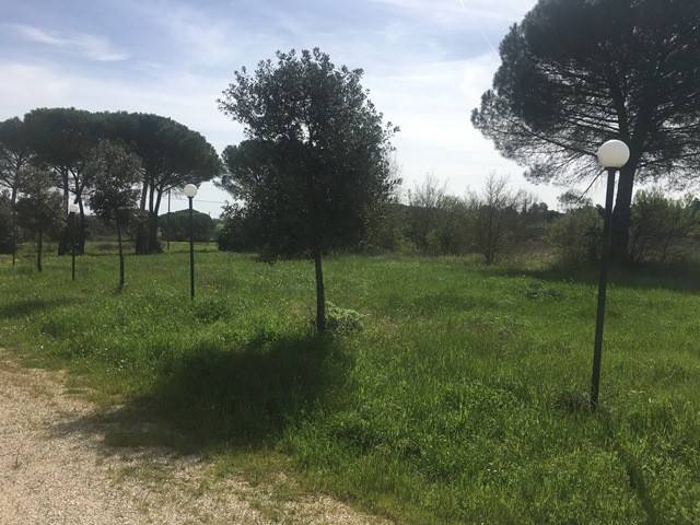 Terreno a Castiglione del lago - Foto 2