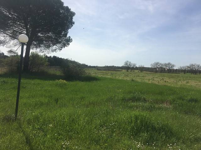 Terreno a Castiglione del lago - Foto 3