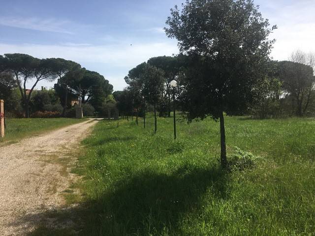 Terreno a Castiglione del lago - Foto 4