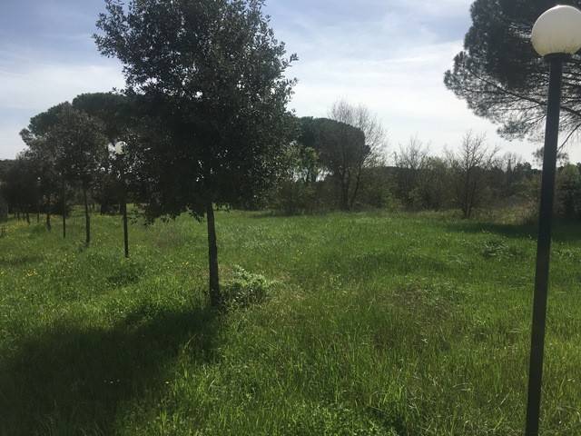 Terreno a Castiglione del lago - Foto 5