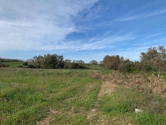 Terreno a Sassari in Via Zirra-Santa Maria la Palma - Foto 5