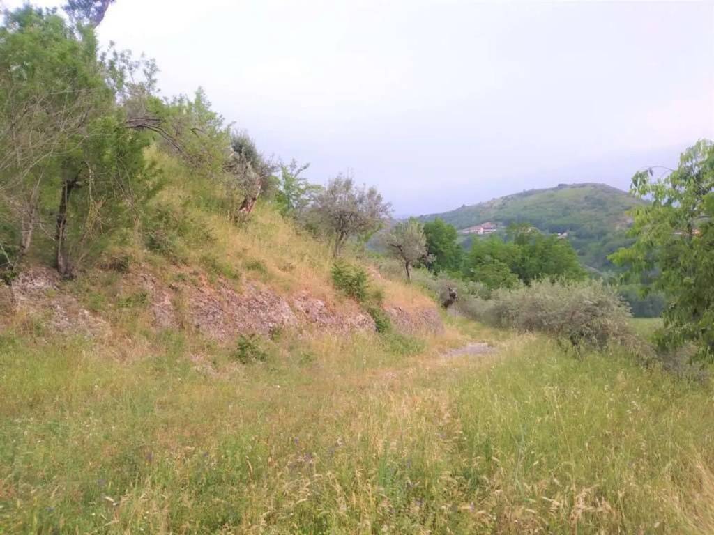 Terreno a Monte san giovanni campano - Foto 3