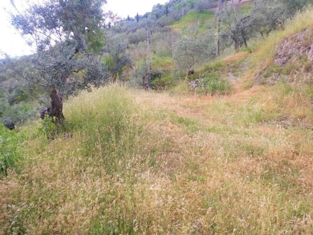 Terreno a Monte san giovanni campano - Foto 4