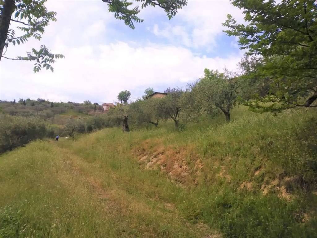 Terreno a Monte san giovanni campano - Foto 5