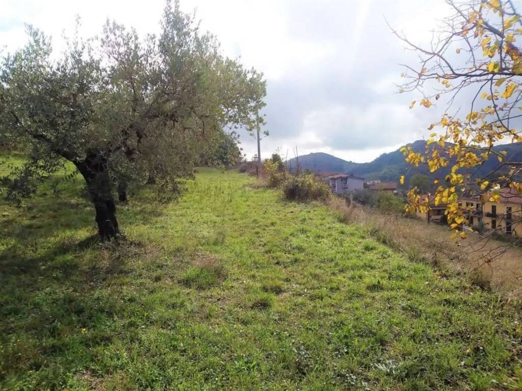 Terreno a Monte san giovanni campano - Foto 2