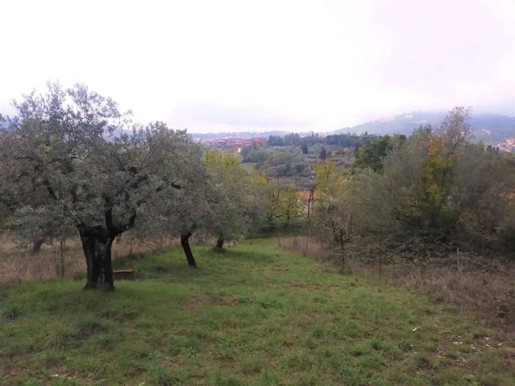 Terreno a Monte san giovanni campano - Foto 4