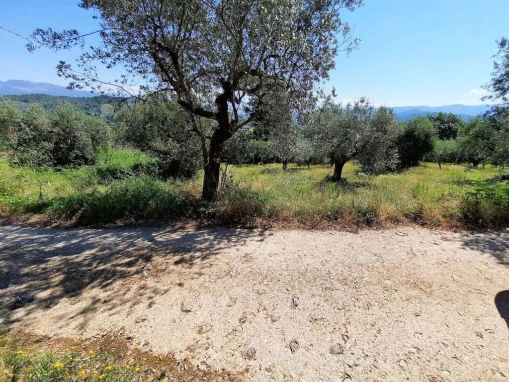 Terreno a Monte san giovanni campano - Foto 4