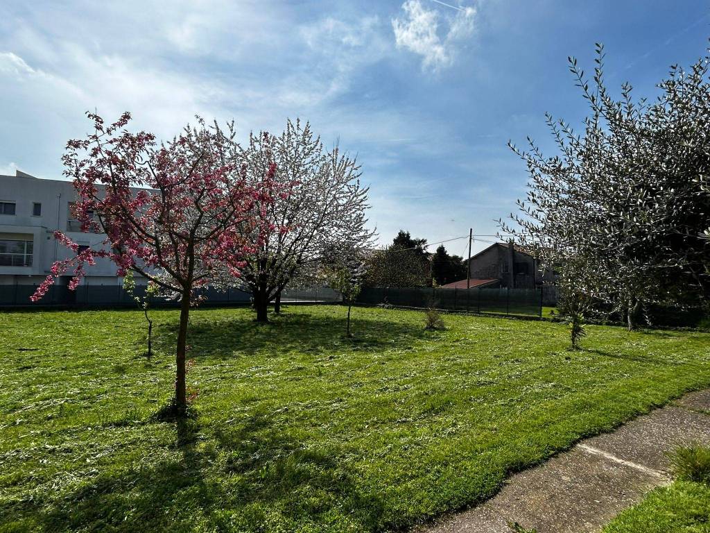 Terreno a Limena - Foto 2