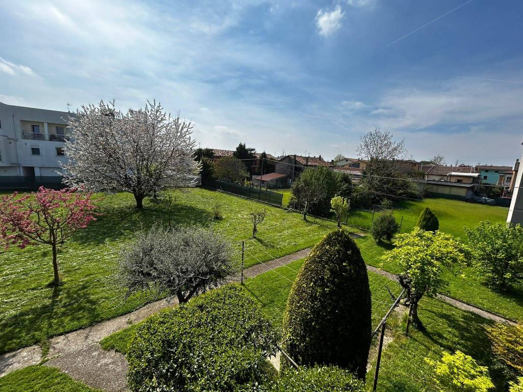 Terreno a Limena - Foto 3